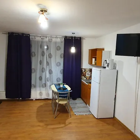 Aparament Balcescu 1 * Timisoara
