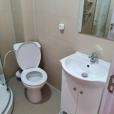Apartment Aparament Balcescu 1 Timisoara